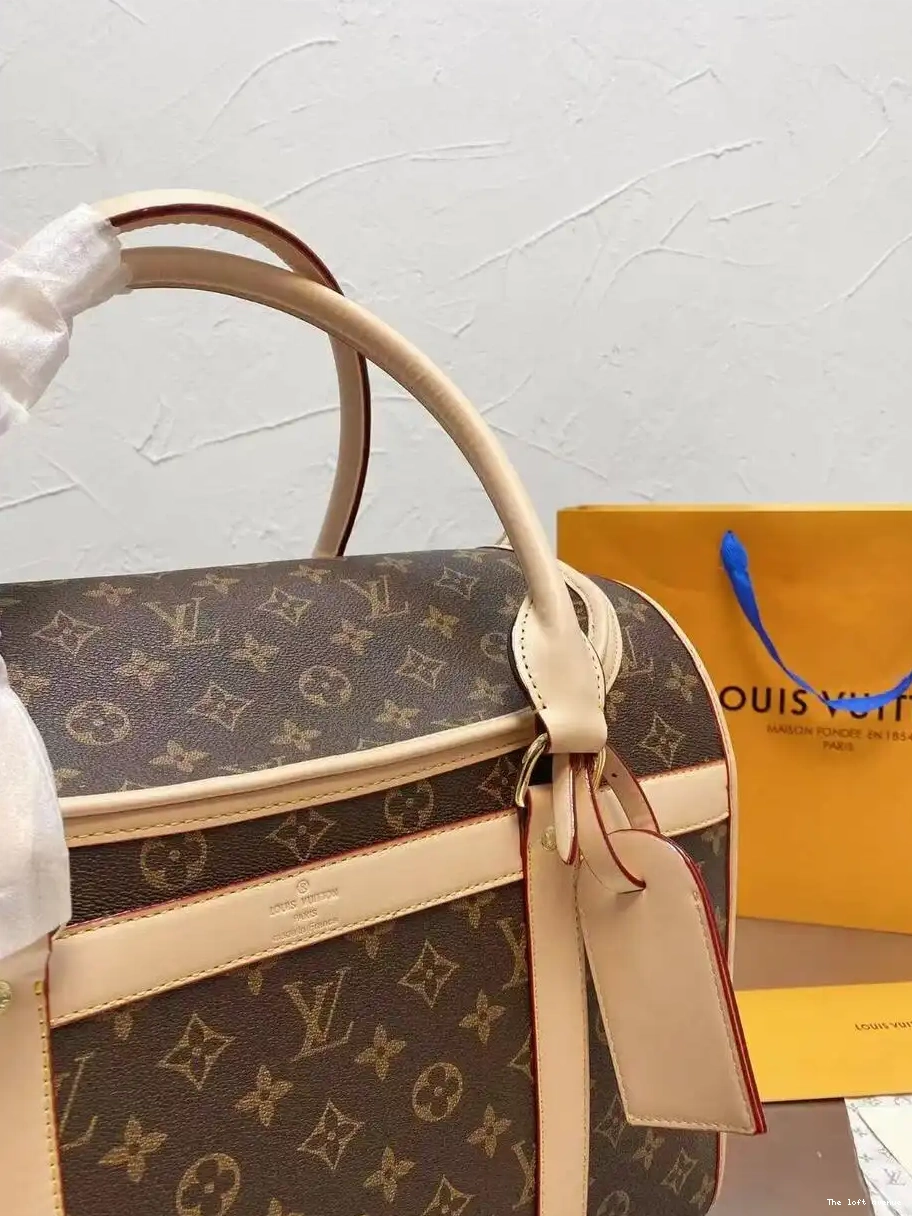 CUSTOM BAG LV PET 0605